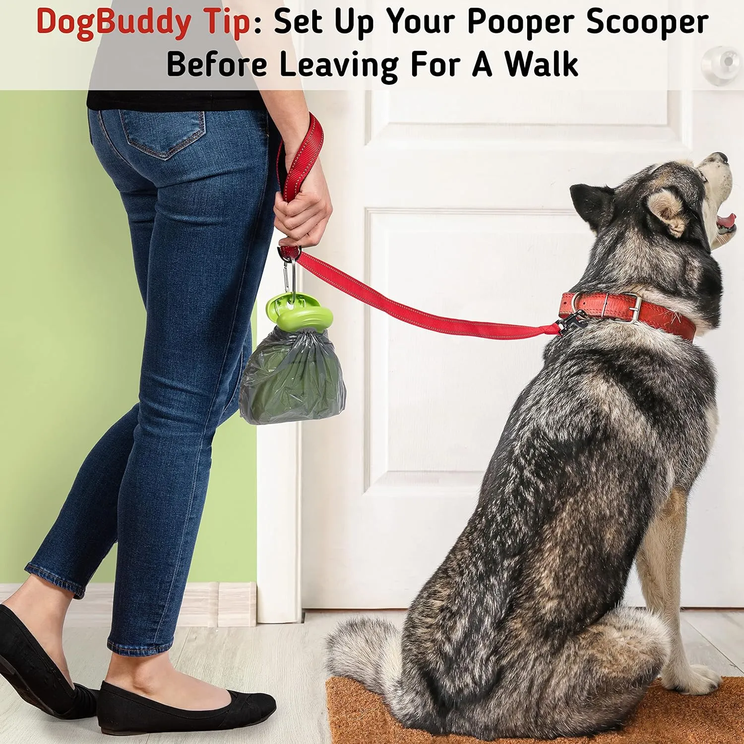 DogBuddy Pooper Scooper, Portable Dog Pooper Scooper, Poop Scooper for Small and Large Dogs, Pooper Scooper With Bag Attachment, Leash Clip and Dog Waste Bags Included (Medium, Mist)
