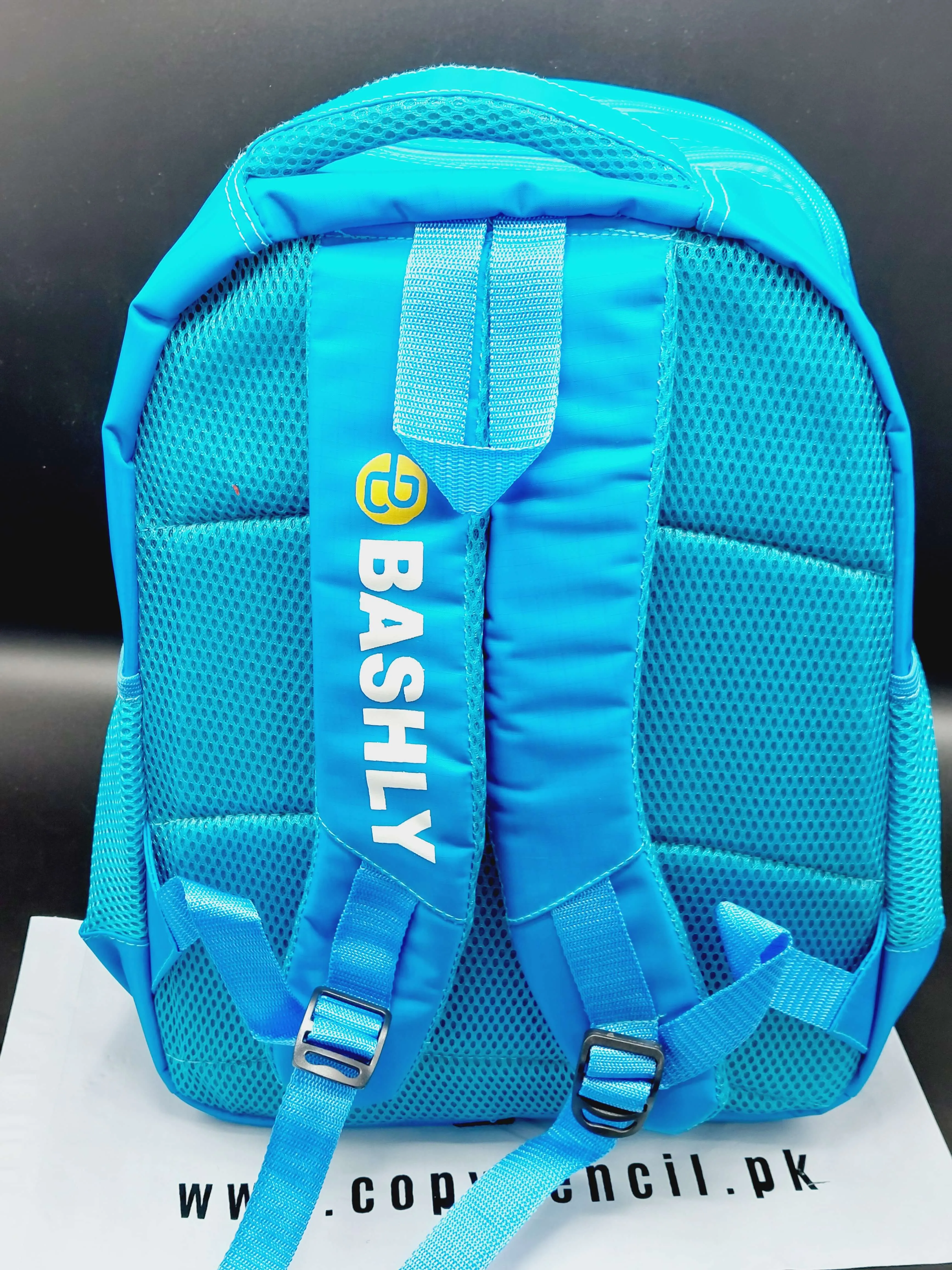 Frozen Themed Stylish Blue School Backpack For Girls - Best Quality Waterproof School bag For Kids