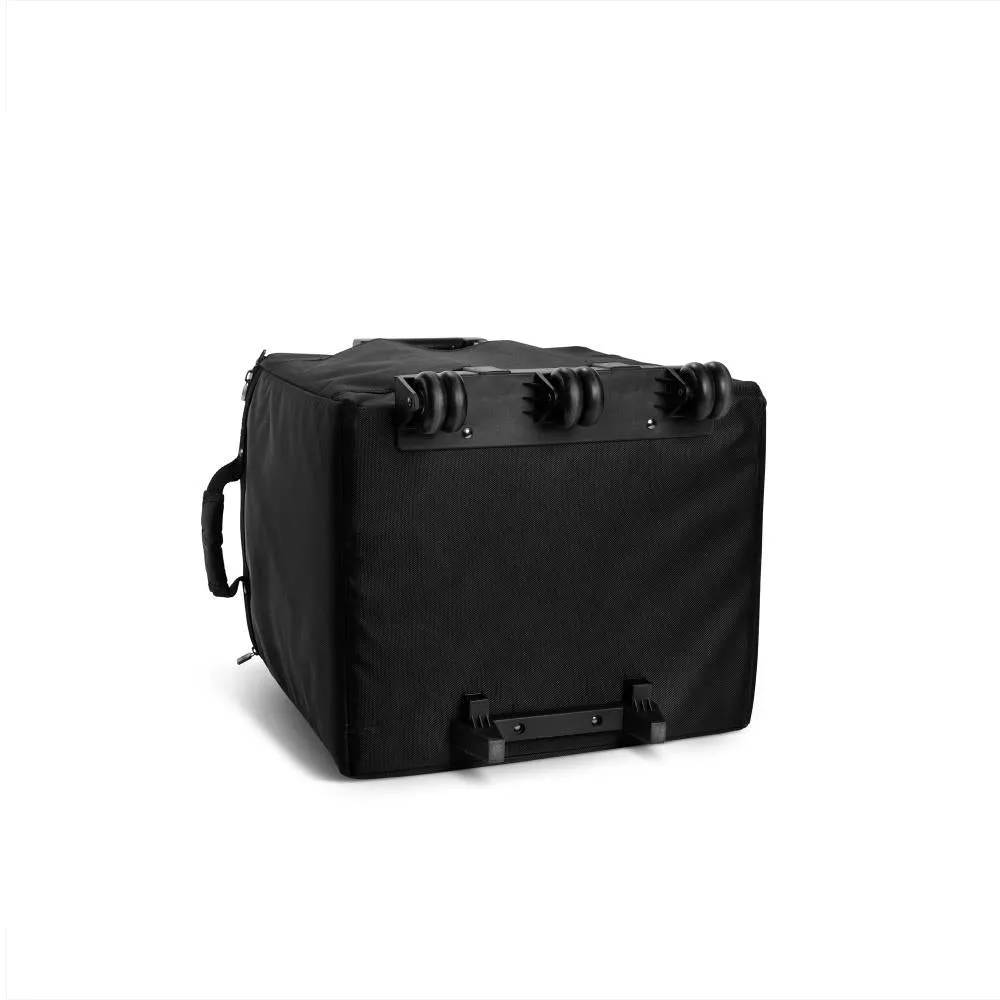 LD Systems DAVE 10 G4X BAG SET