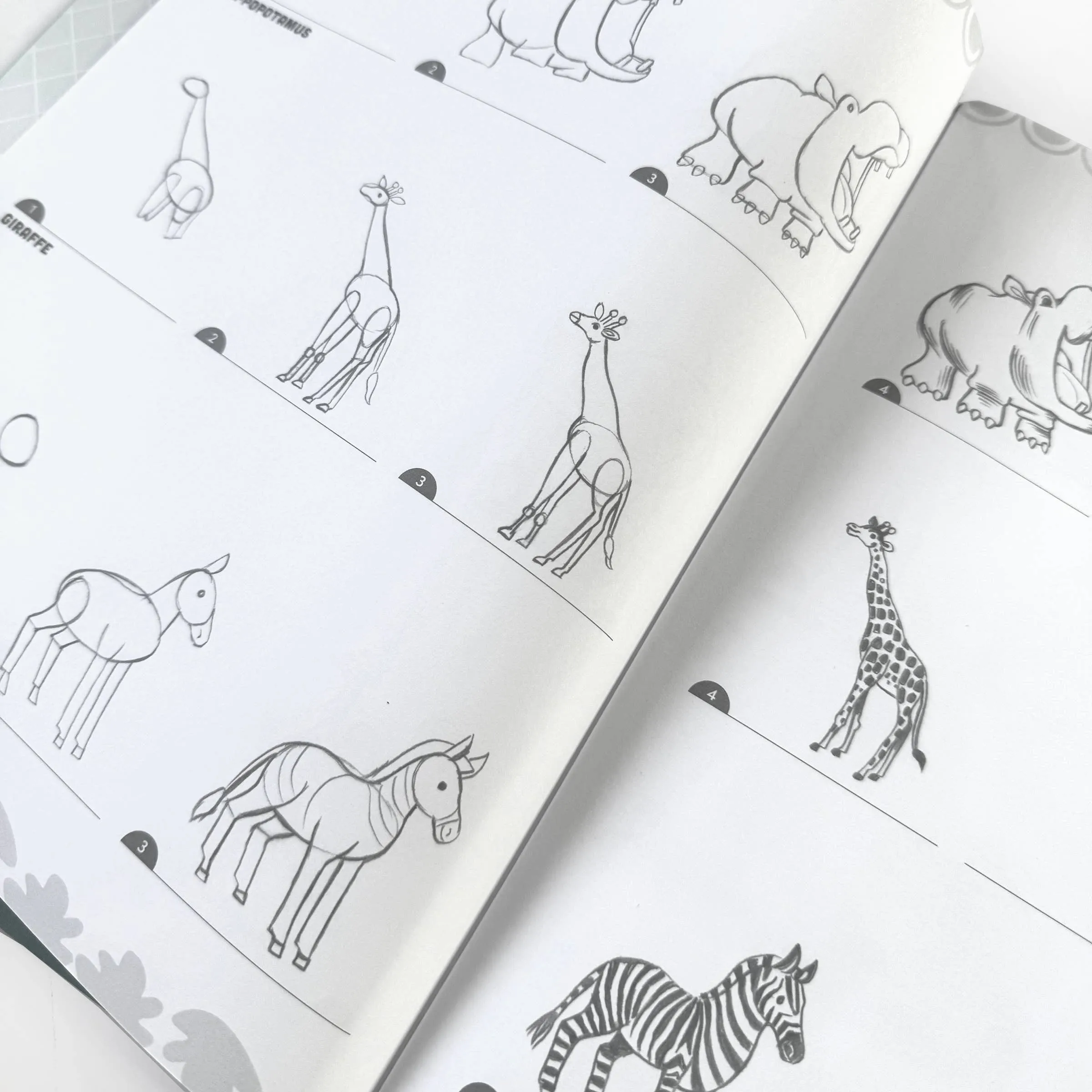 Learn to Draw Wild Animals with Stickers