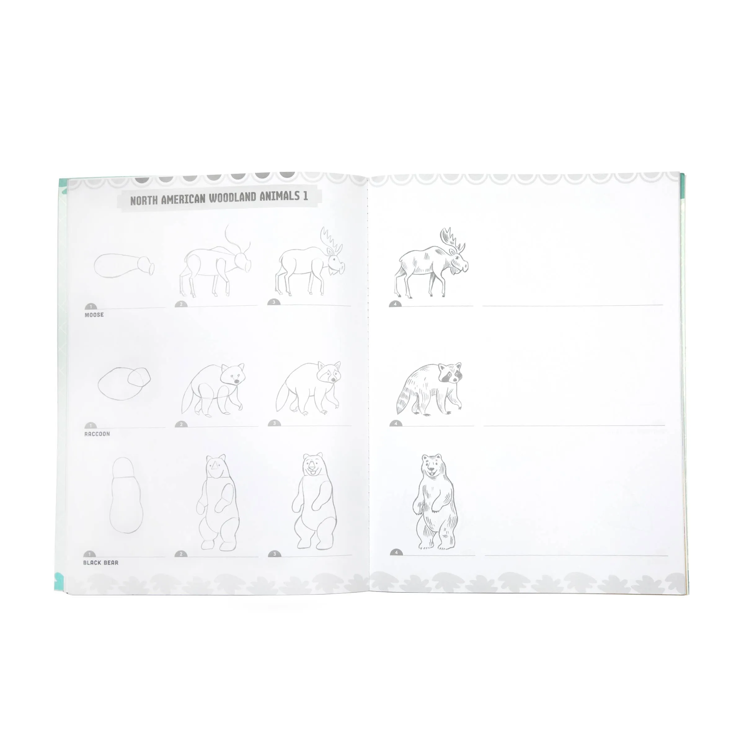 Learn to Draw Wild Animals with Stickers